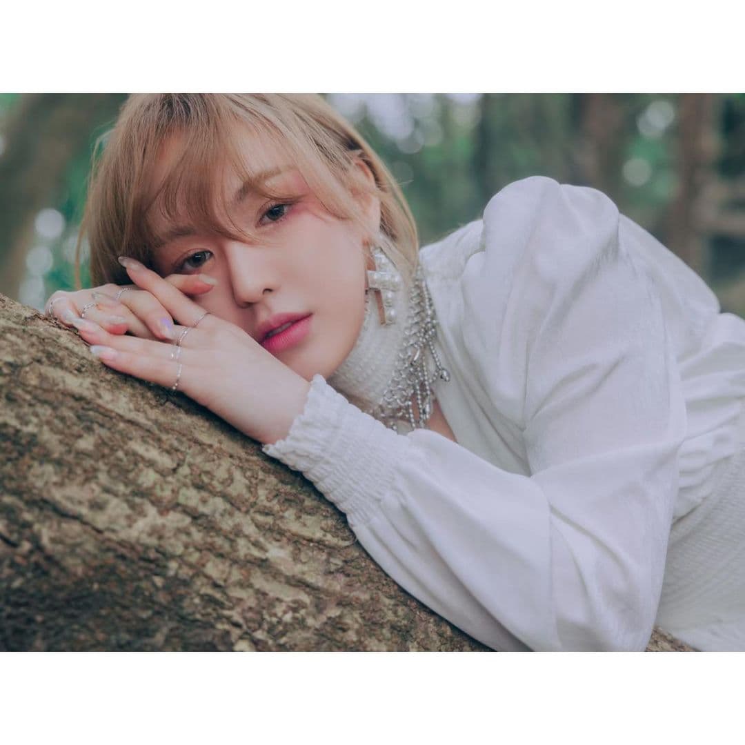Image Source_Instagram | todayis_wendy