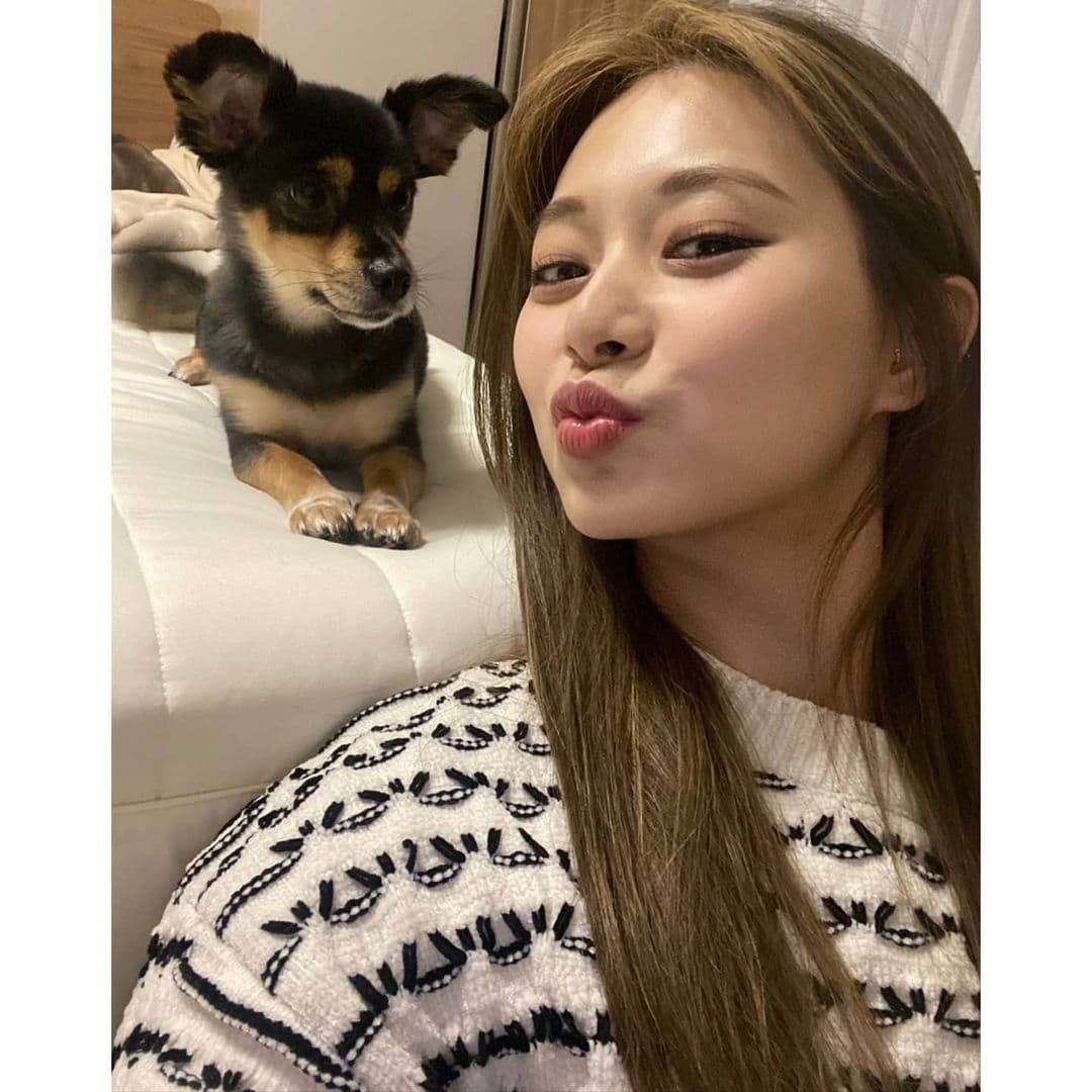 Image Source_Instagram | twicetagram