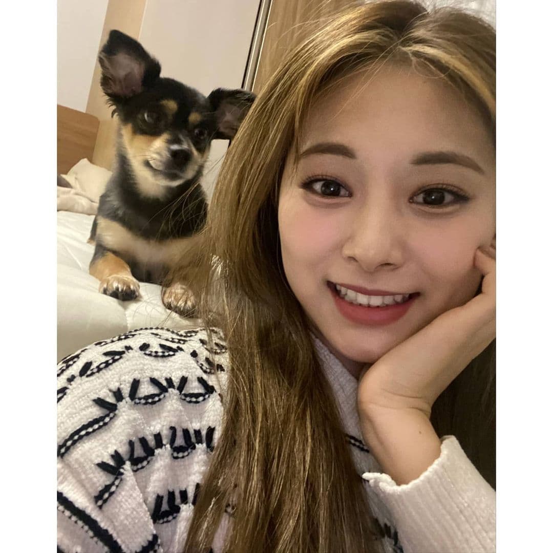 Image Source_Instagram | twicetagram