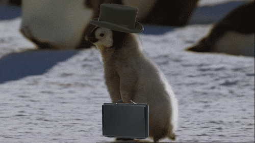 Image Source | GIPHY