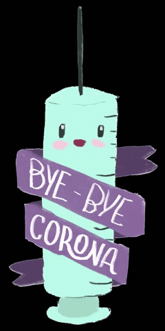 Image Source | GIPHY