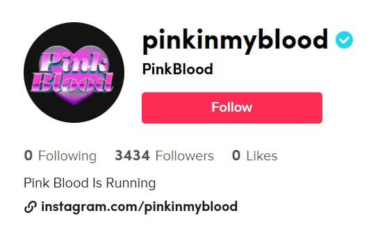 Image Source_TikTok | pinkinmyblood
