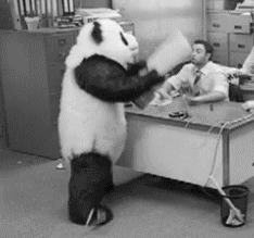 Image Source | Giphy