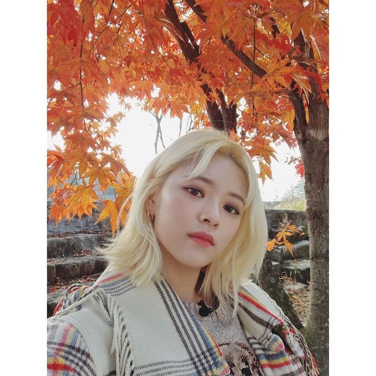Image Source_Instagram | twicetagram