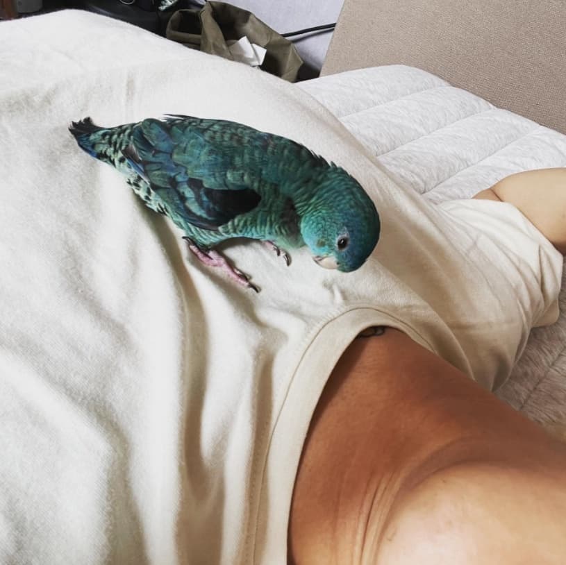Image Source_Instagram |realllllmino
