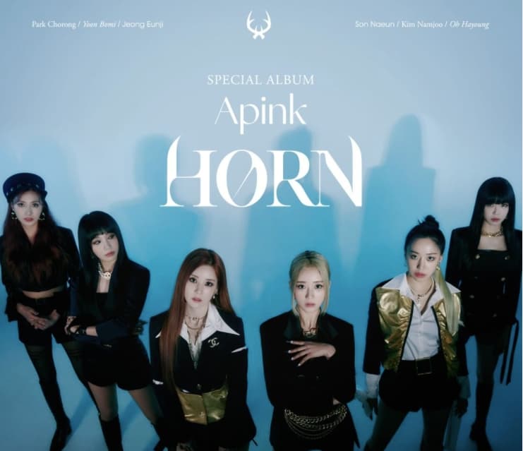 Image Source instagram | official.apink2011