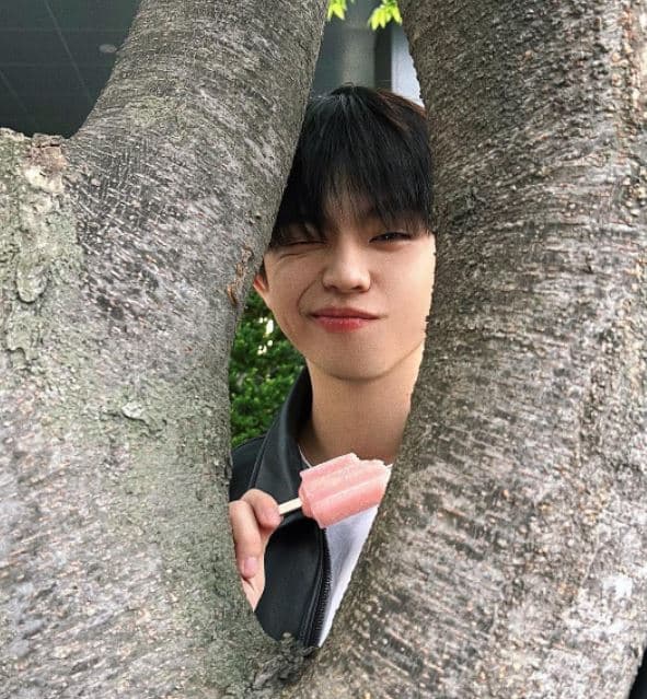 Image Source_Instagramㅣgreestvg