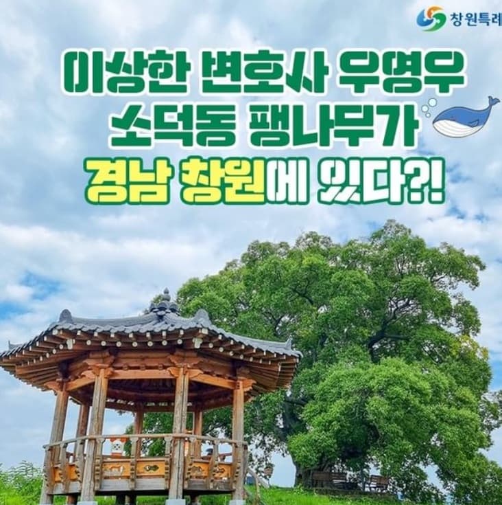 Image Source_Instagram |changwon_city