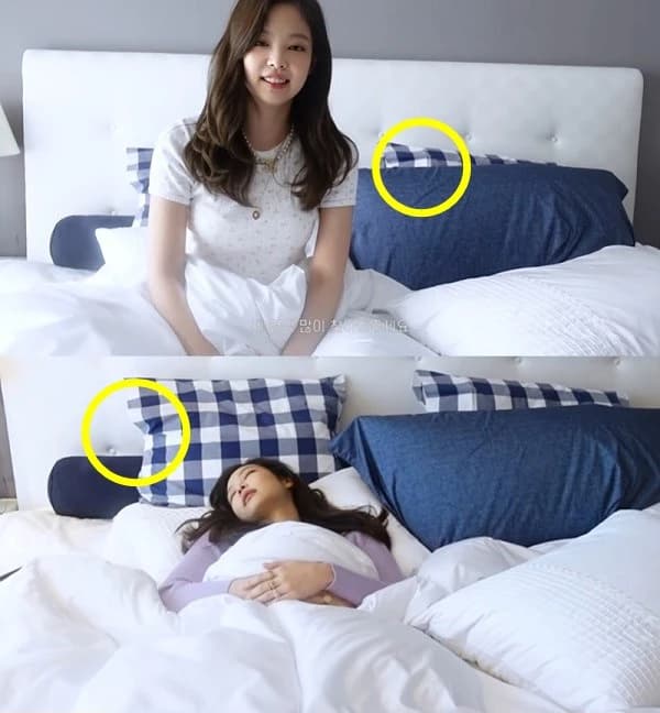 Image source_nate | 뷔제니 침대 고양이 사진