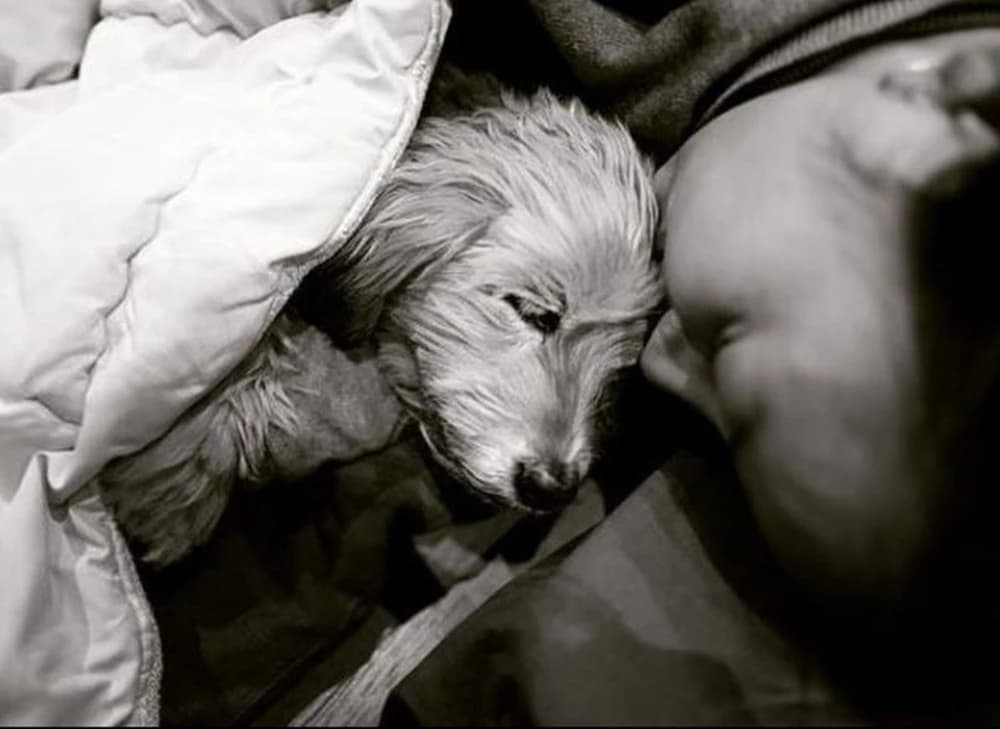 Image source_ Instagram | lee__hyori